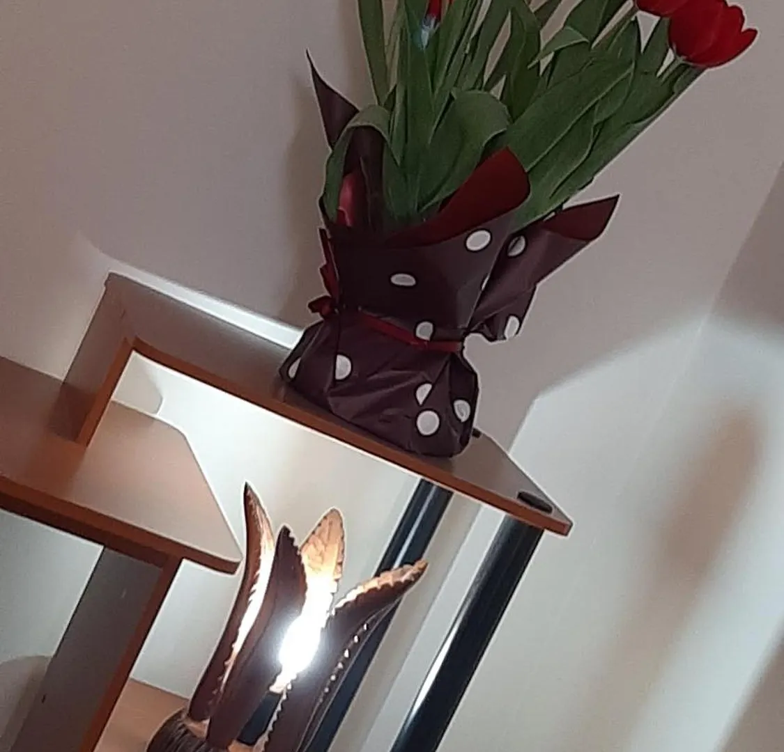 Apartment Desiderio - Holiday House Naples